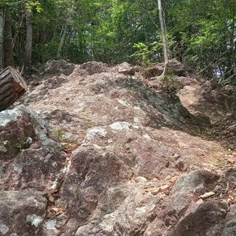 鳳来寺山からは岩場の激下り