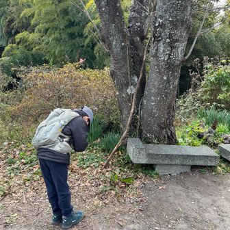 ここまでお世話になった大剣になる木とはここでお別れして下山します♪