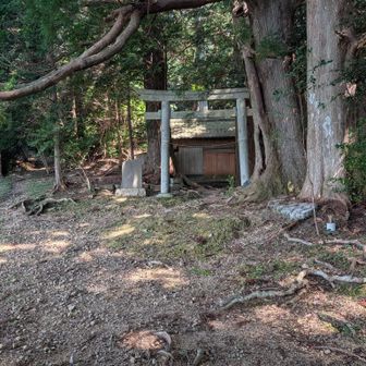 鳥居と祠