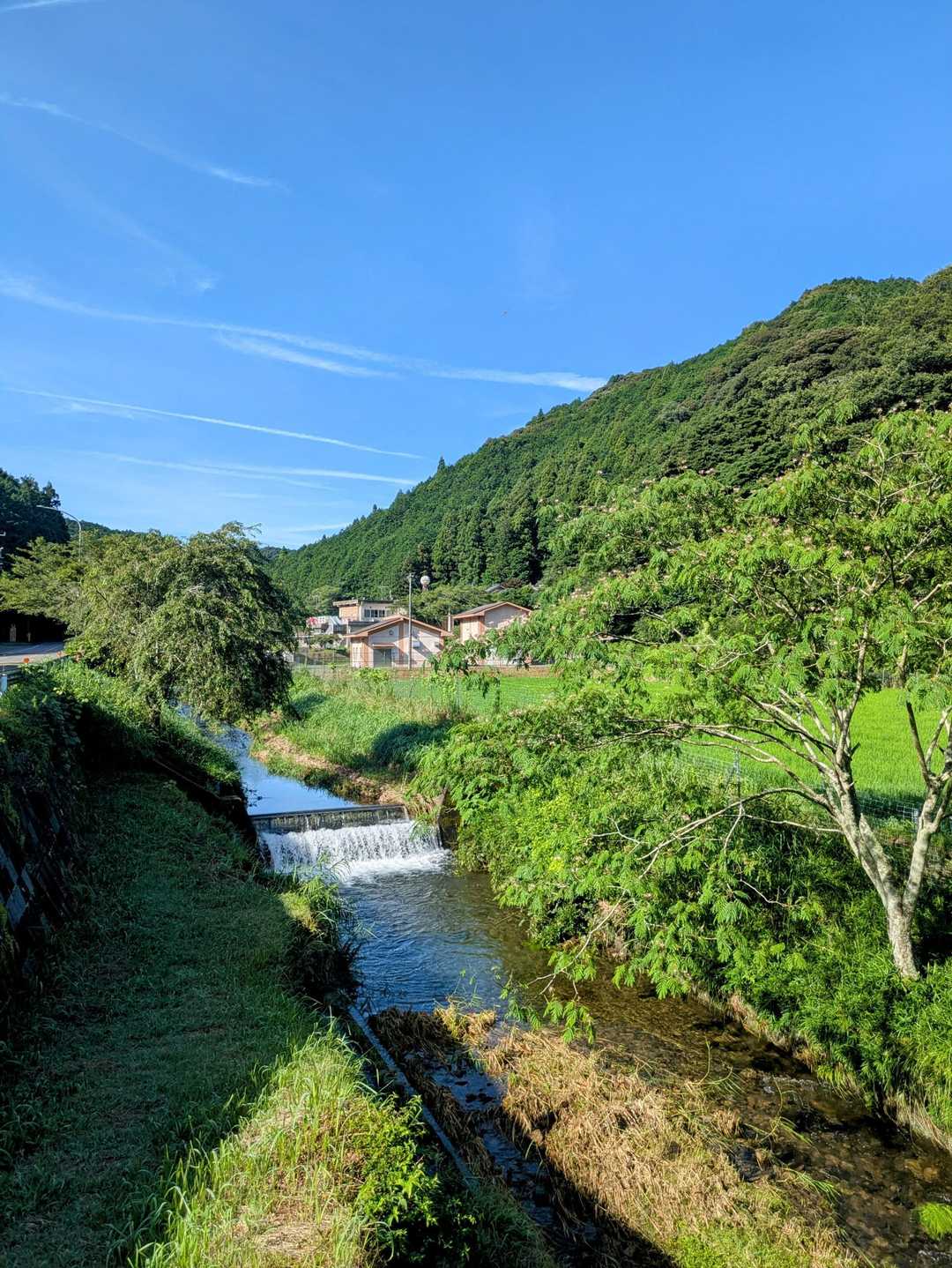 喜桜山-天王山コース登山口　 周回コースの写真