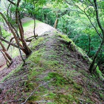 痩せ尾根も