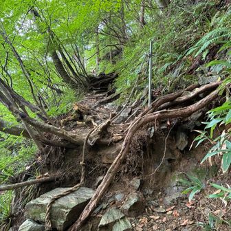 巨岩が顔をのぞかせる
