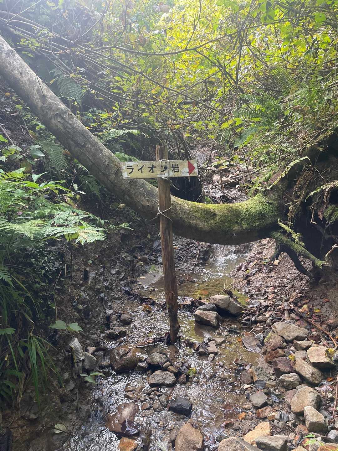久渡寺山-岩落山 周回コースの写真