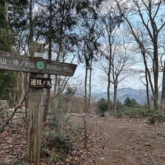 この後も無心で歩く 逆川ノ丸