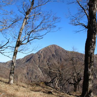 臼ヶ岳から見た蛭ヶ岳
蛭ヶ岳から臼ヶ岳への登山道は急な下りでした