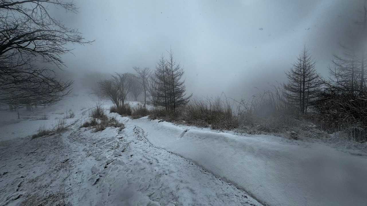 奥多摩、石尾根テン泊縦走（鴨沢〜七ツ石山〜鷹ノ巣山〜六ツ石山〜奥多摩駅） の写真 72