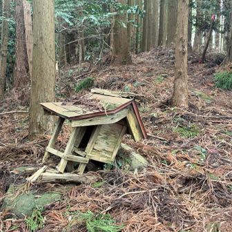 もうちょっと先に行くと、かなり朽ちた祠が⛩️