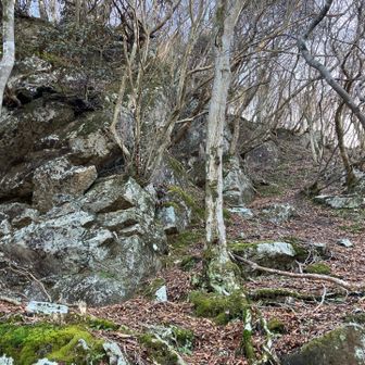 右手から巻きましたが、みんなの軌跡では左手から巻いてるようです😅