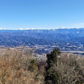 ずっと見てられる🤭