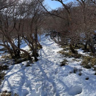 御在所方面の道