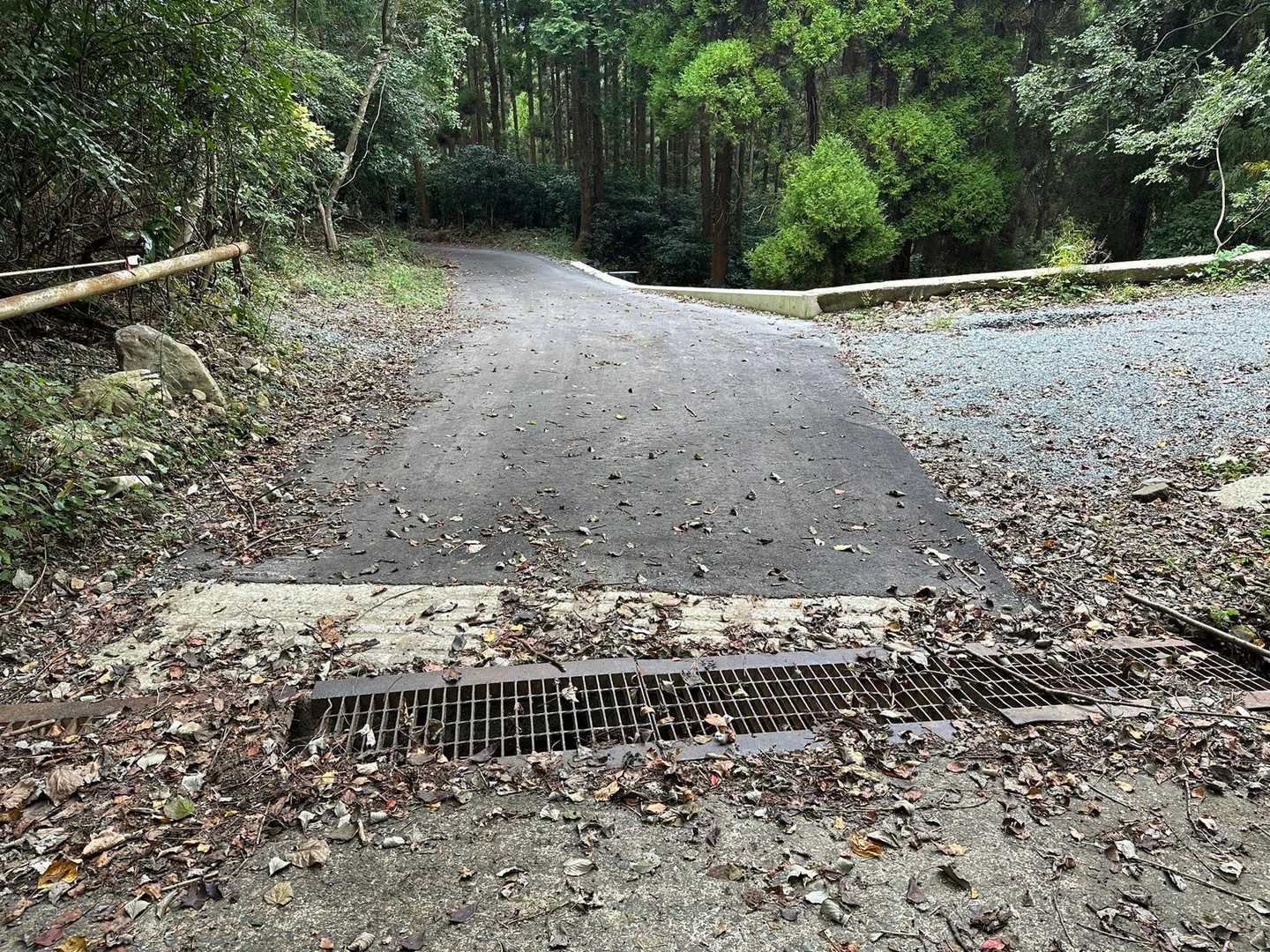 ここから少し道路がキレイになってる