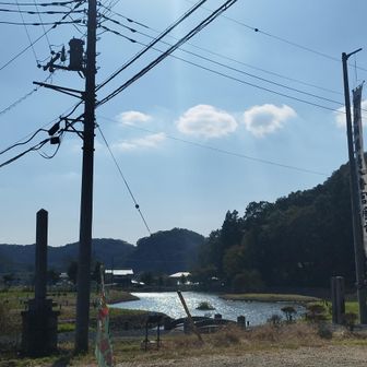 足利氏の郷だって