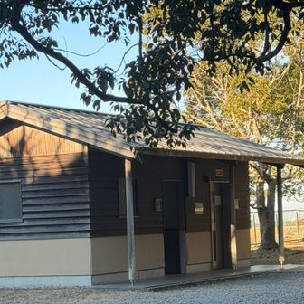 入り口のトイレとってもきれい