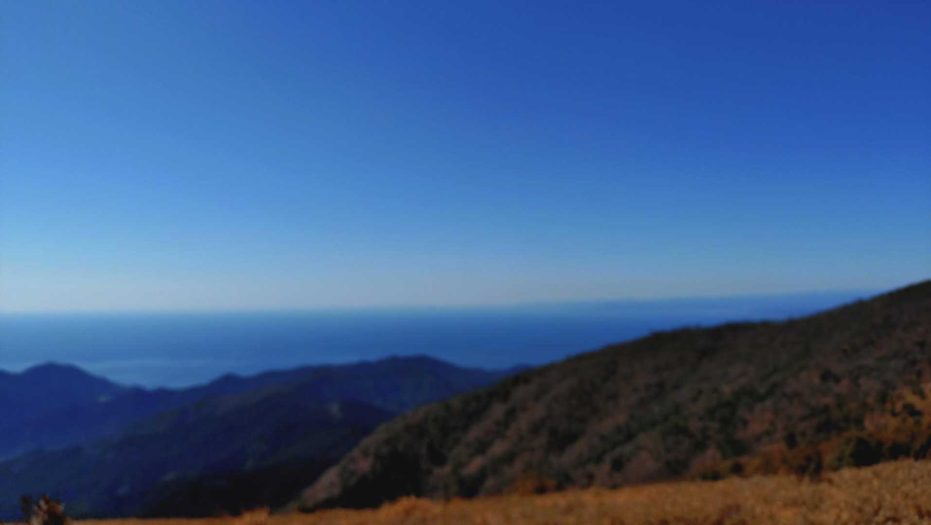 海も🌊✨