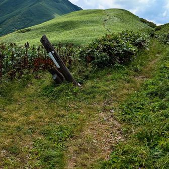 予定変更でこの分岐から土合へ戻る、ここで下山するの2年振りの3回目かな、、荒れてて土合まで地味に長いです😮‍💨