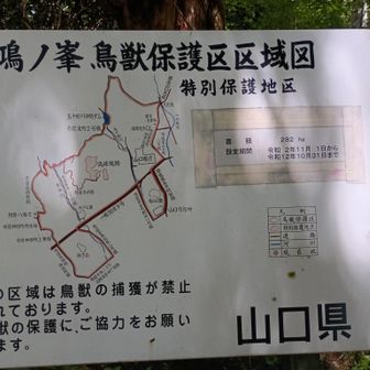 鳥獣保護区域🐦🐒🐗🦌🦡🐰