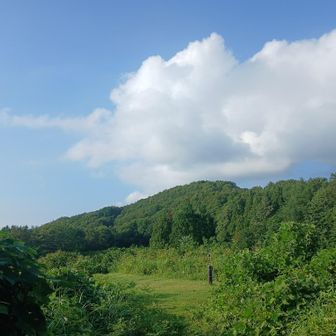 もう一度萱峠に戻って来た