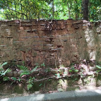 古い建築様式の土塀
