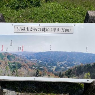 山頂に来たのかな？