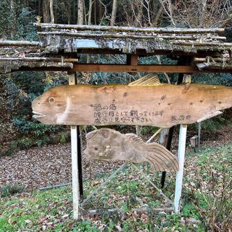 魚が飼われているらしい。見えなかったけど。