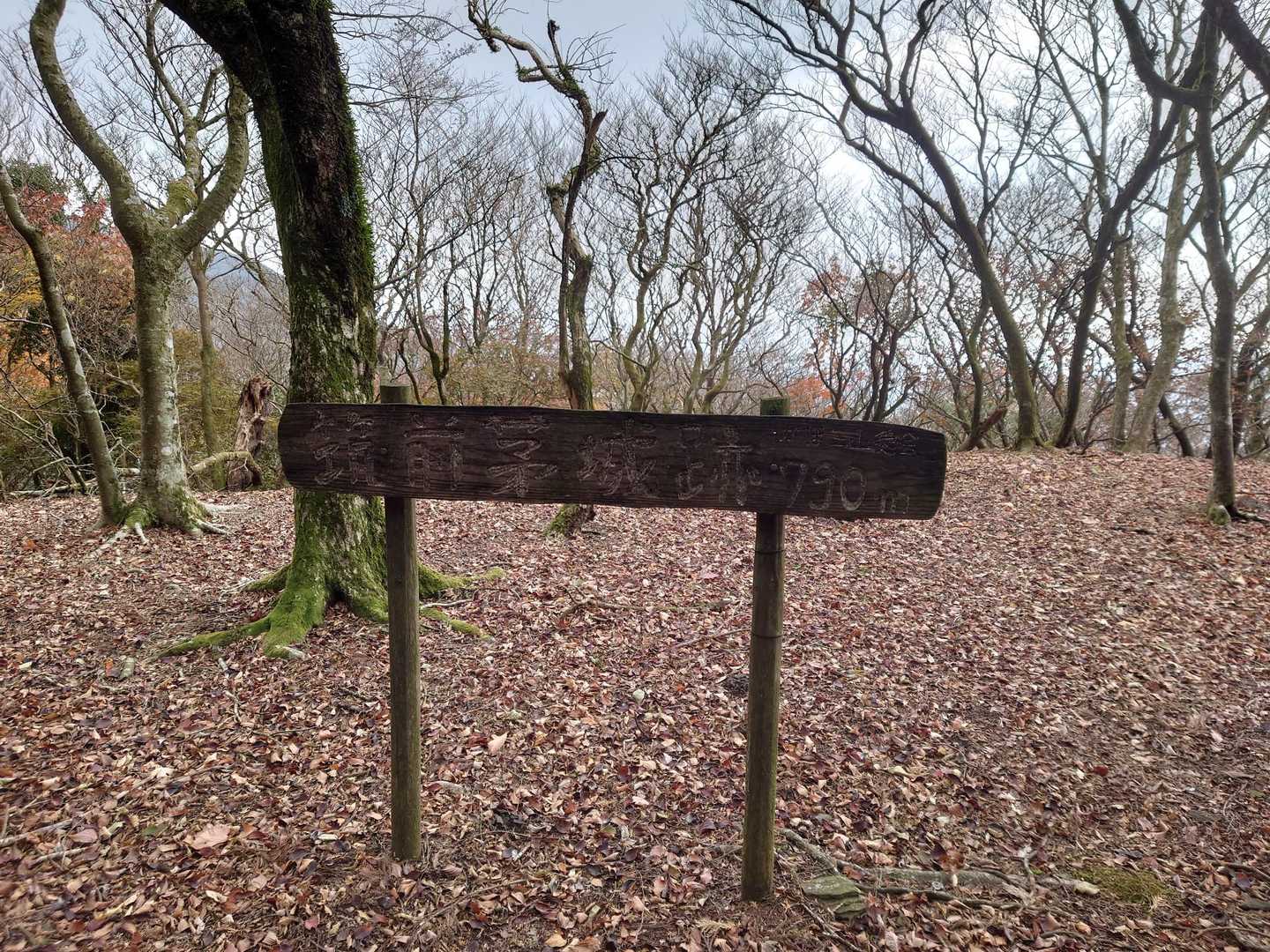古処山-屏山-江川岳-宇土浦越-馬見山 往復コースの写真