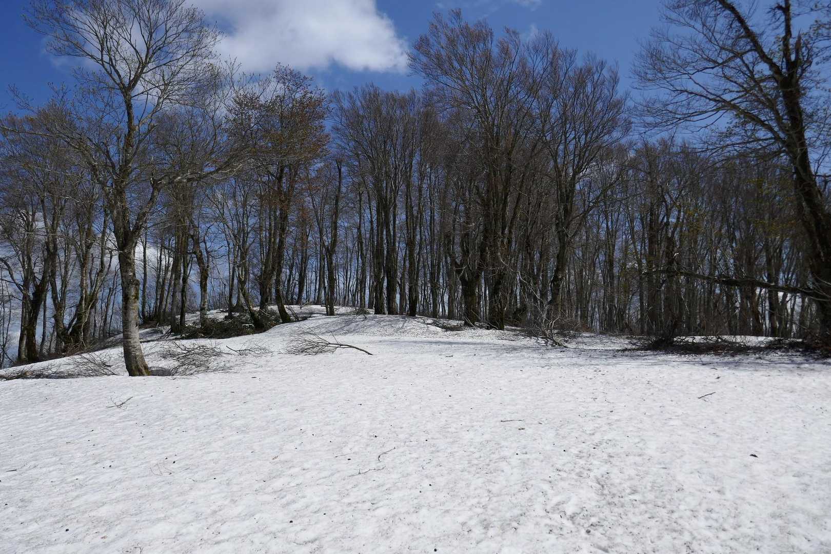 展望所風景