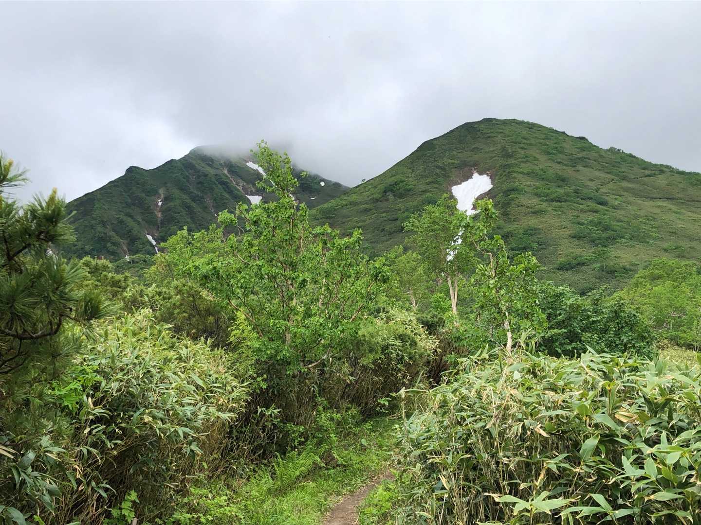 半面山のから山頂に向かっている登山道からの山頂にガスがかかっている芦別岳と雲峰山