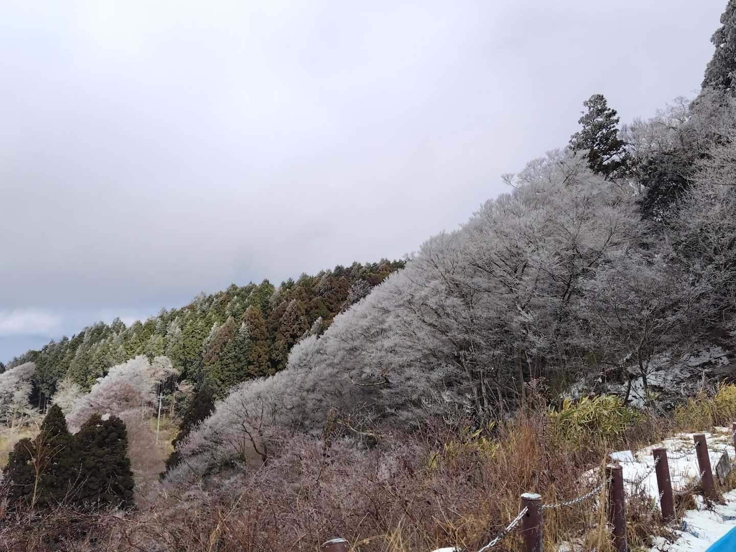 霧氷も少し✨