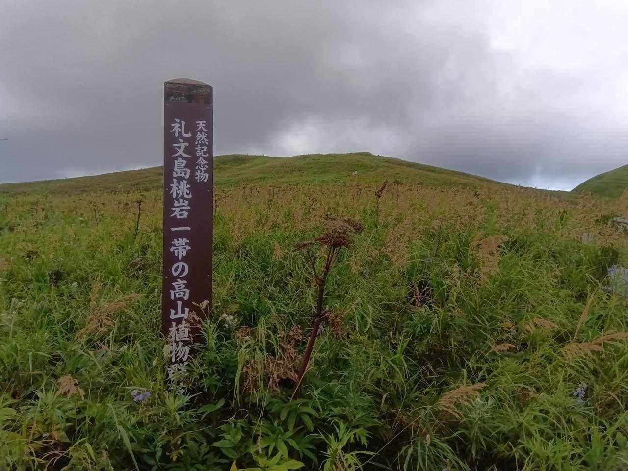 この辺一帯の高山植物は天然記念物