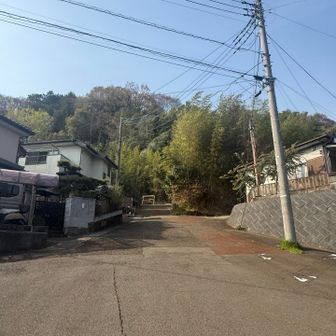 下ってきた道
鶴巻温泉駅からだと、ここを登っていくのね…