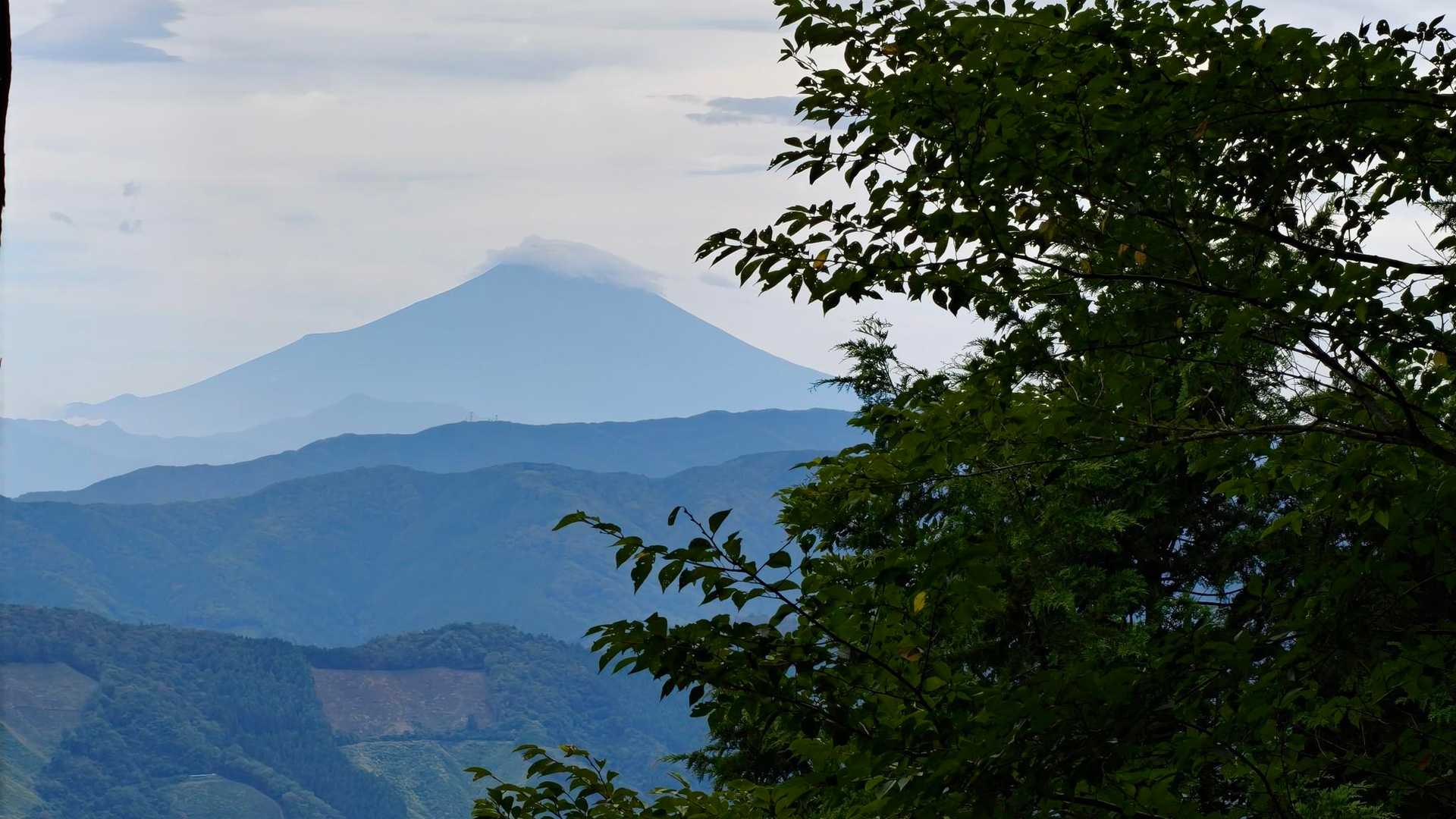 富士見スポット
