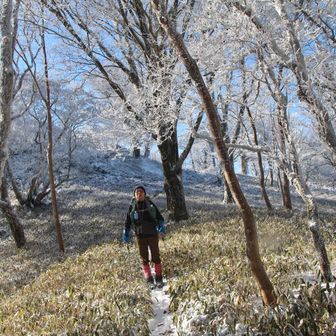 佐々連尾に向かいます
