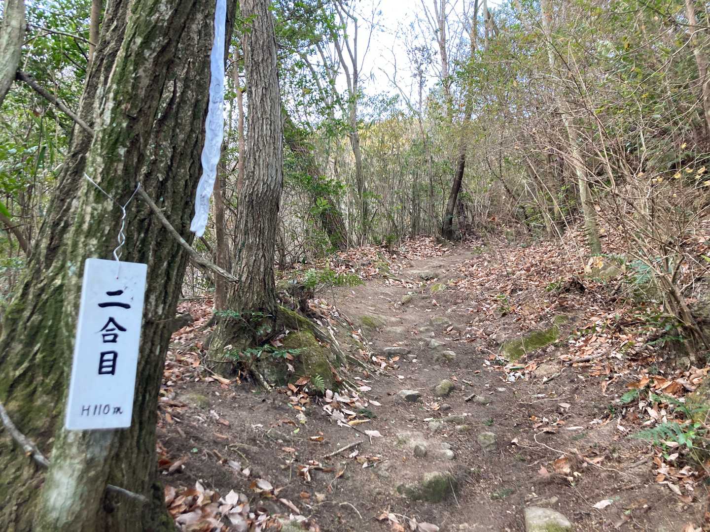 虎丸山登り口-三本松-虎丸山 周回コースの写真