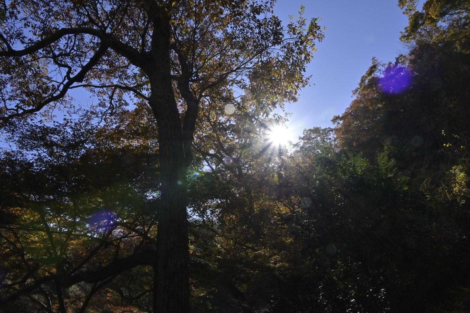 最高の天気っ！