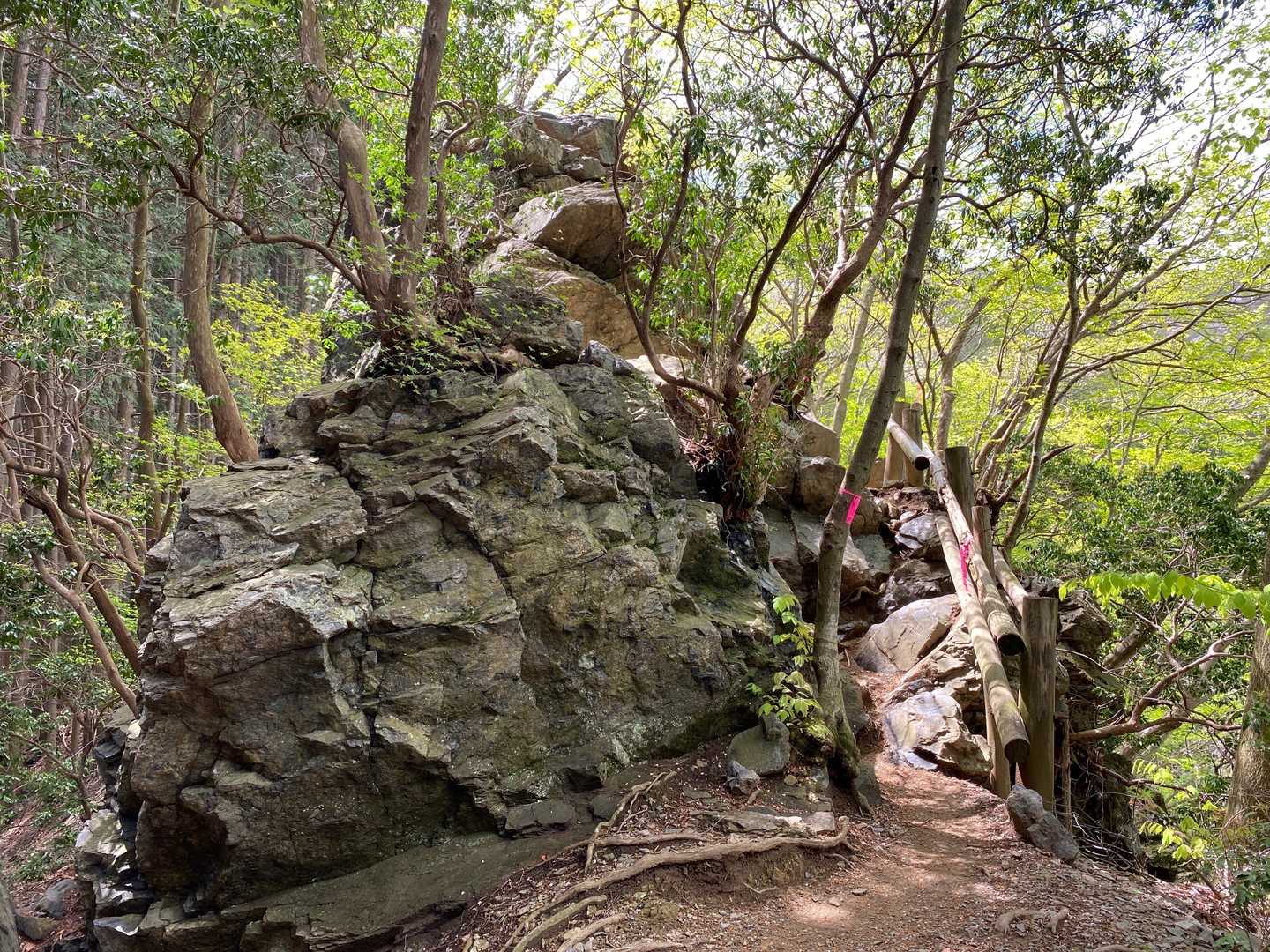 岩茸石の裏側