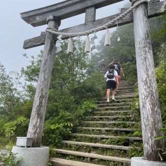 またまた鳥居⛩️