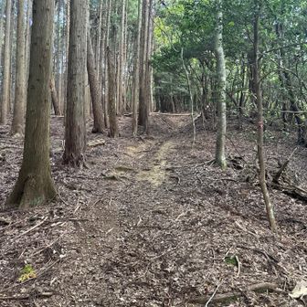 分岐辺りから登る方面。