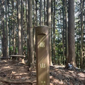 鋸山と今回の蜘蛛の巣棒。