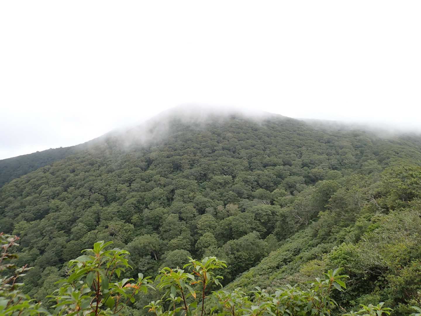 虎毛山頂にはガスがかかっていた。