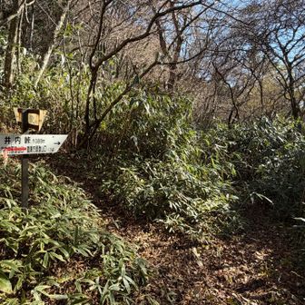 井内峠3回目の通過
帰ってきた〜