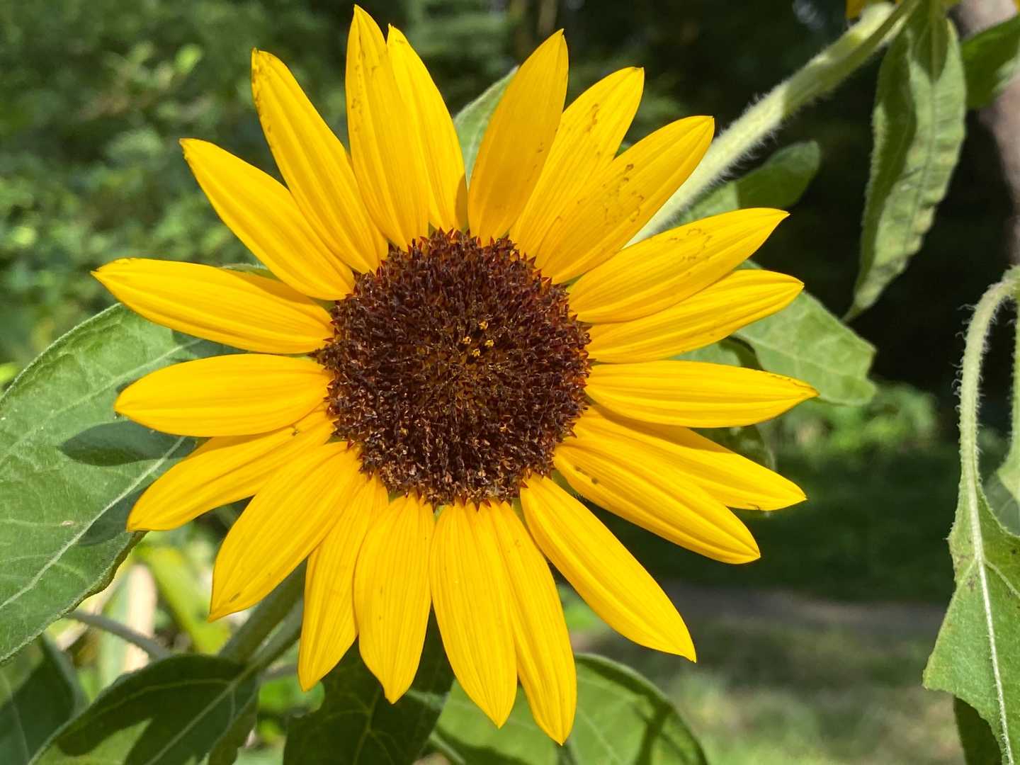 元気な🌻💕