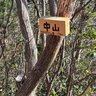 中山とうちゃこ