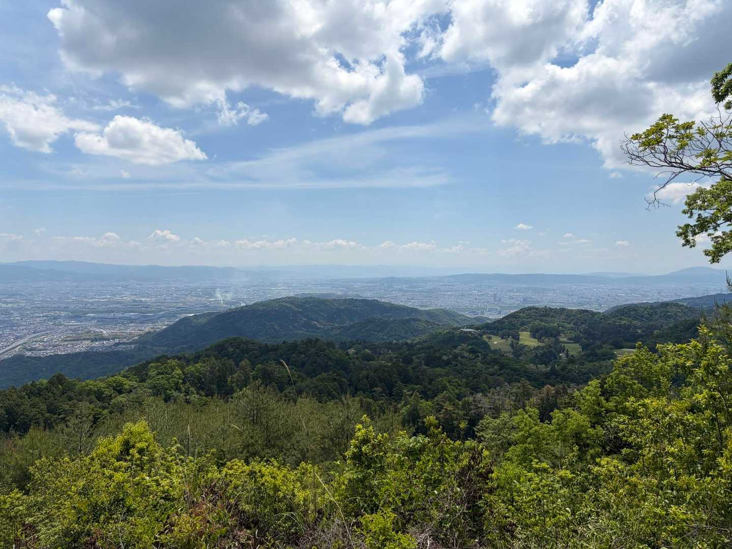 大沢山 往復コースの写真
