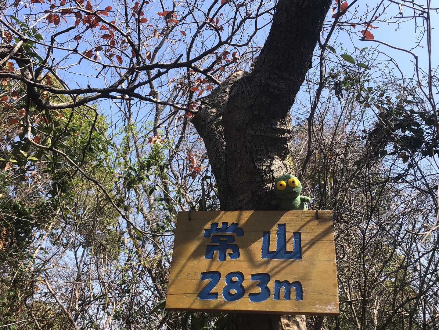 常山山頂！
ケロちゃん　こっち見て！😆