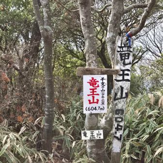 竜王山山頂　604.7m