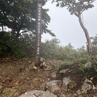 タッチしてすぐ退散