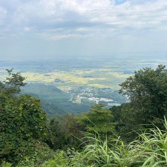 田んぼの色も黄色く色付き始めました。
車移動の際、稲刈りの機械が動いてる様子を見ました。