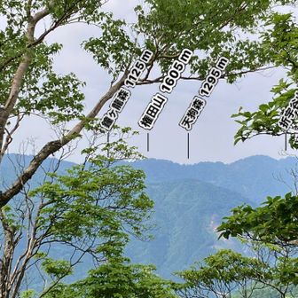 権田山、先月登った