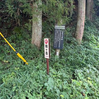 ここから上がろうと思ったが、狭い道に蛇がいて断念