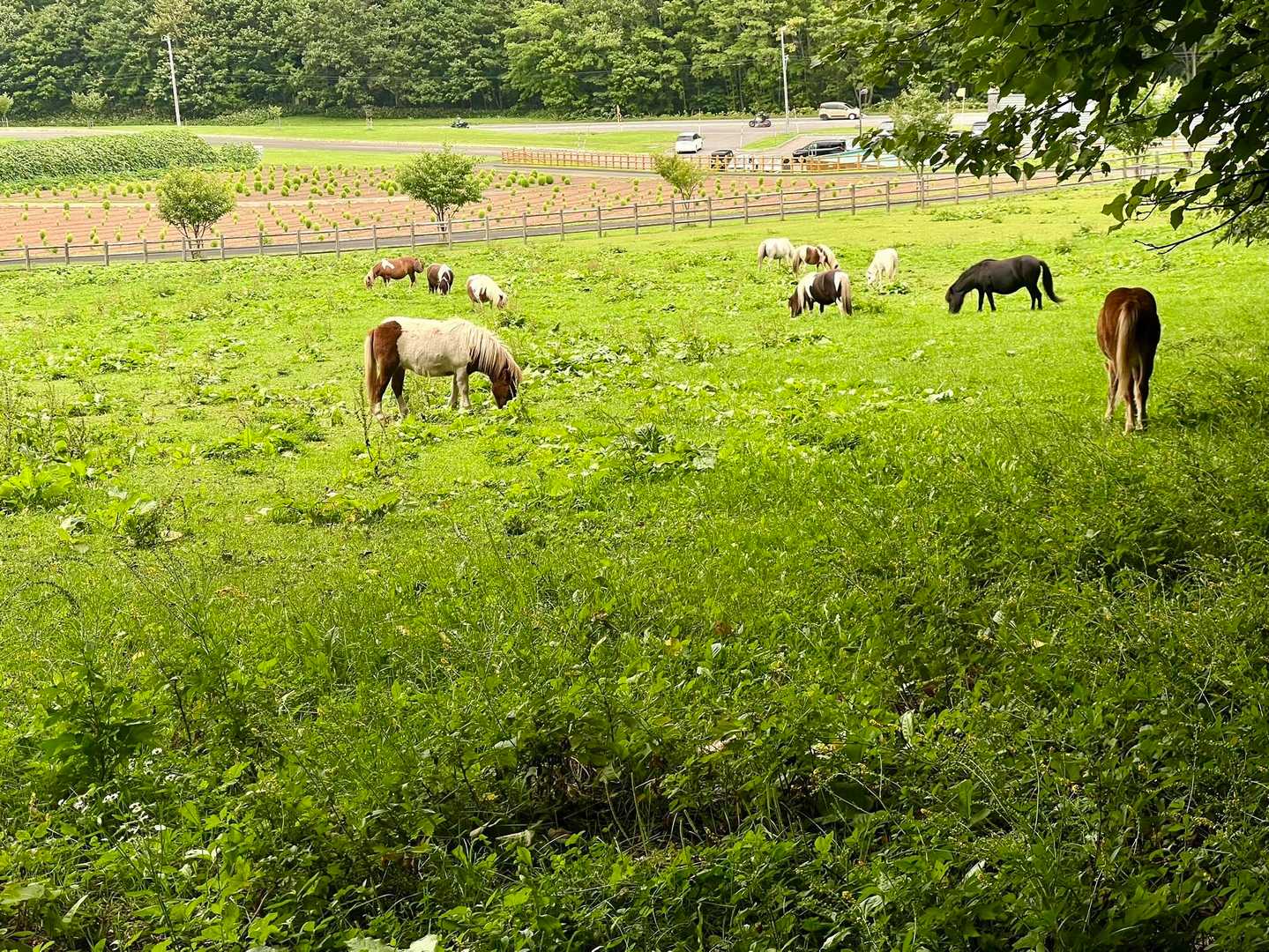 何とか下山完了